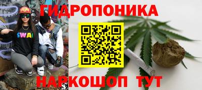 винт Пенза